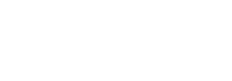 WiseAssets_Logo_white